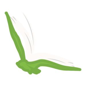 Logo Beugue Lire
