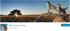 wordpress faster cache capture depuis wordpress.org